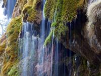 Wasser ergießt sich über Mooswände - Schleierfall / Saulgrub